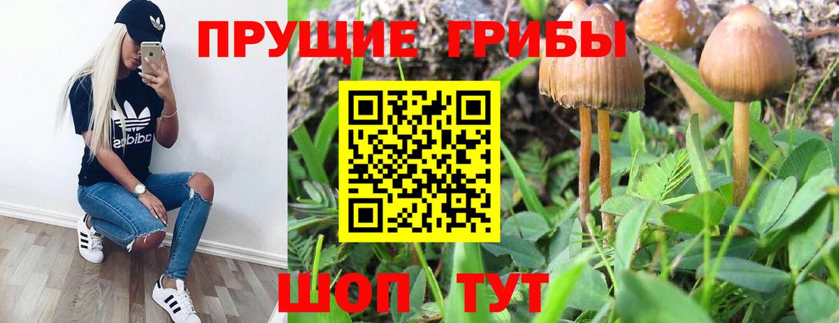 Галлюциногенные грибы Cubensis Озёрск