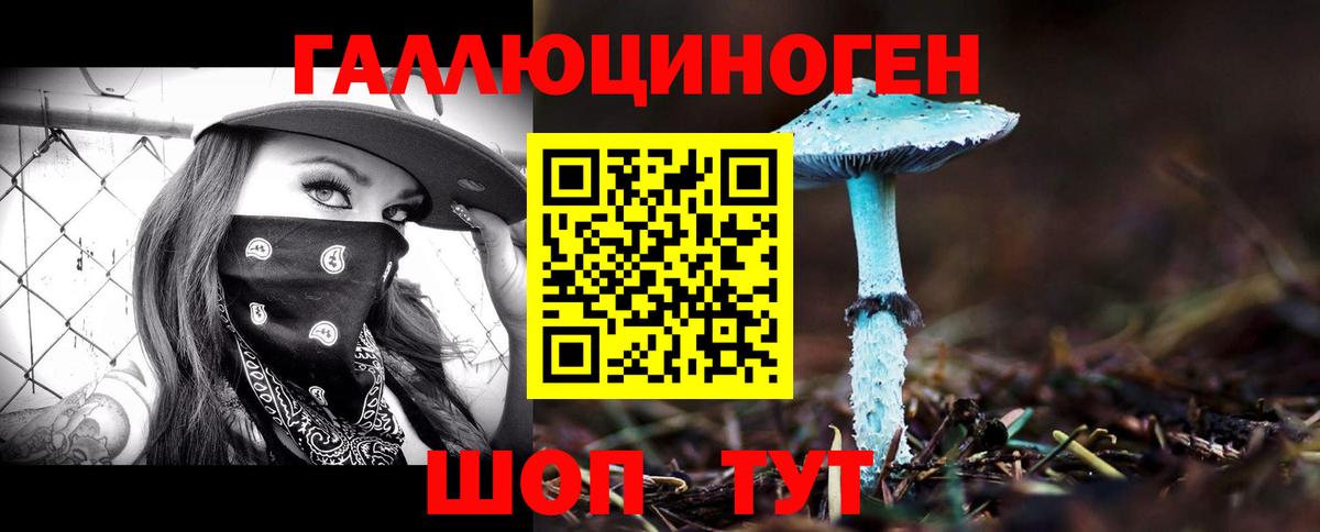 Озёрск  Псилоцибиновые грибы Psilocybe  Вход с VPN  Галлюциногенные грибы прущие грибы 
